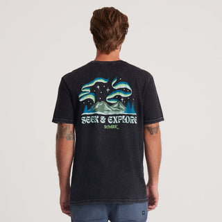 Roark Go North Premium Tee with Northern Lights graphic, premium cotton, adventure-inspired design.